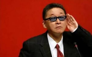 李敖与王菲的关系揭秘：背后的家族渊源与趣事