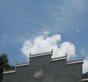贾樟柯：疫情中的当代电影巨匠与中国社会的迷茫探索